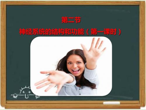 浙科版高中生物必修三《神经系统的结构与功能》第一课时课件(1)-新版