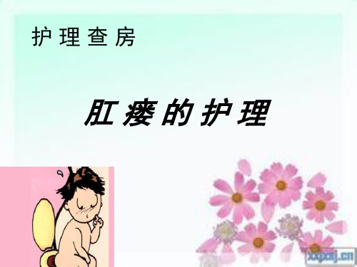 肛瘘护理查房ppt课件