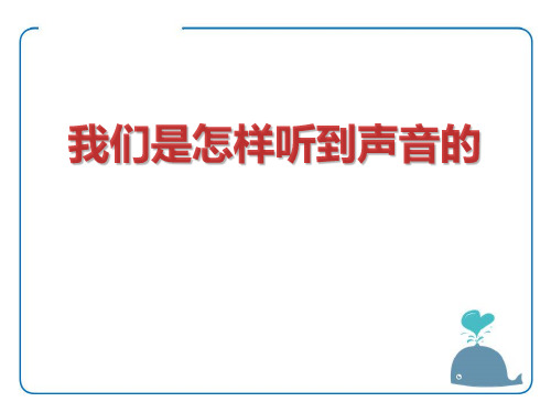 《我们怎样听到声音》ppt课件