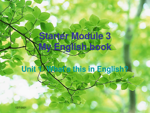 七年级英语 starter module 3 my english book外研级英语