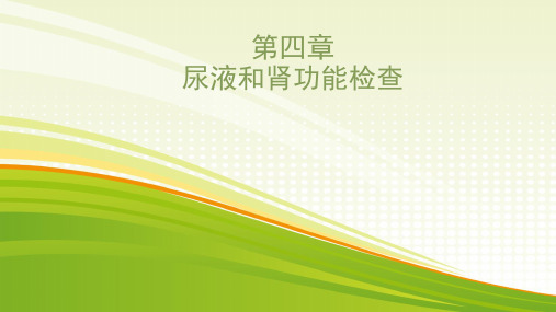 尿液和肾功能检查