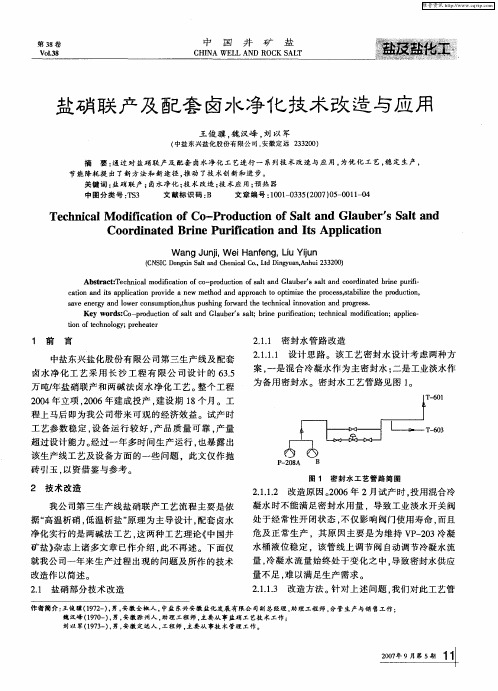 盐硝联产及配套卤水净化技术改造与应用