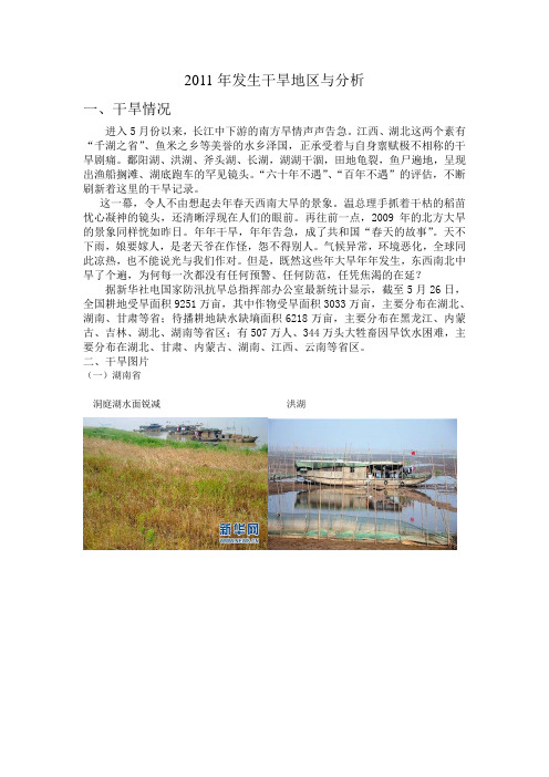 2011年发生干旱地区与分析