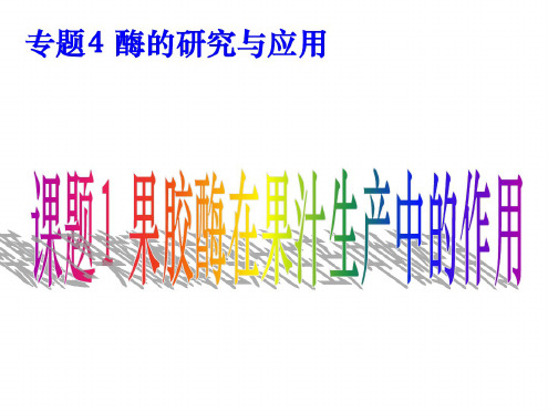 果胶酶在果汁生产中的作用26291
