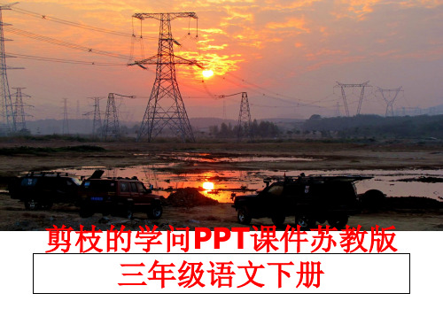 最新剪枝的学问PPT课件苏教版三年级语文下册