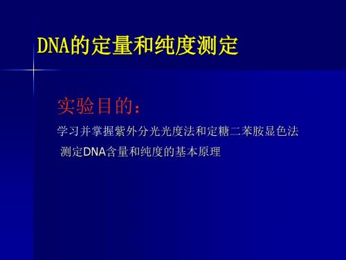 实验十三动物组织核酸的分离鉴定和含量测定(精)