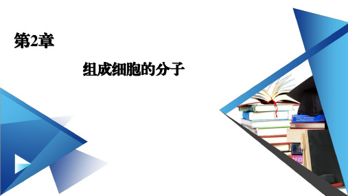 新教材人教版必修1 第2章 第2节 细胞中的无机物 课件(49张)