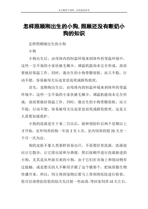 怎样照顾刚出生的小狗,照顾还没有断奶小狗的知识