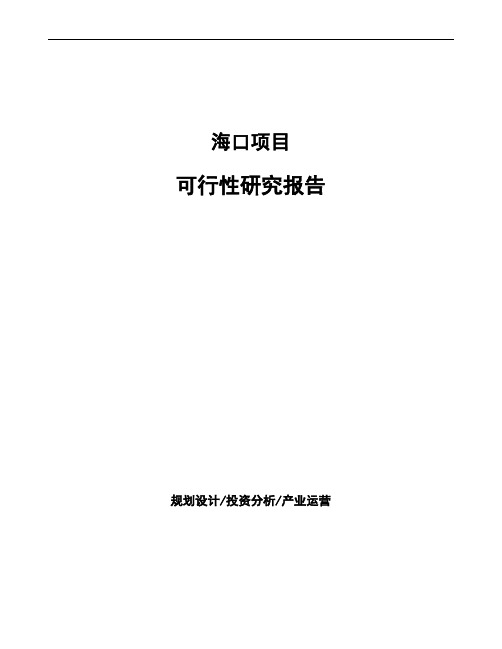 海口投资项目可行性研究报告