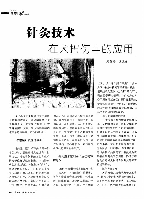 针灸技术在犬扭伤中的应用