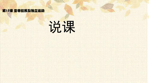 人教高中历史必修中外历史纲要下第13课-亚非拉民族独立运动课件(共21张PPT)-