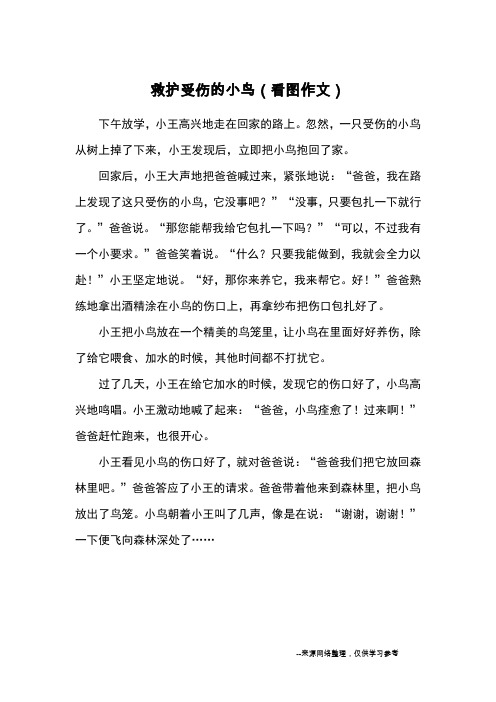 救护受伤的小鸟(看图作文)_优秀作文