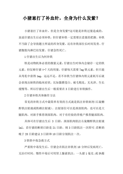 小猪崽打了补血针，全身为什么发紫？