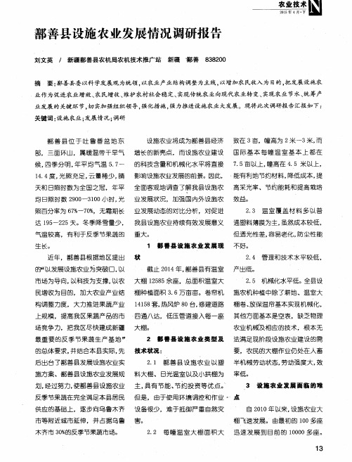 鄯善县设施农业发展情况调研报告