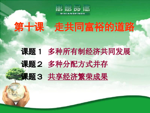 y共享经济繁荣成果(20110207)PPT资料31页