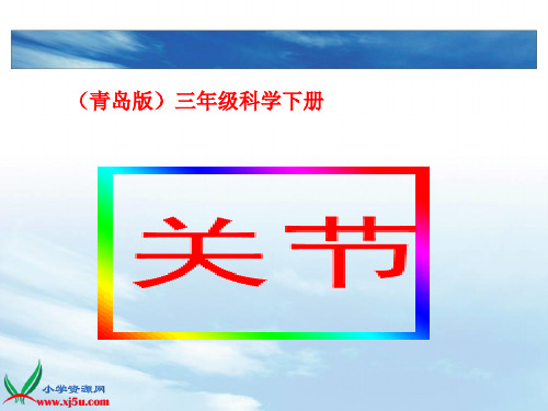 三年级科学下册《_关节》_3