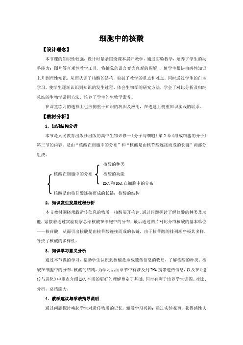 中图版必修一 细胞中的核酸 教案 (3)