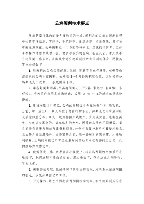 公鸡阉割技术要点