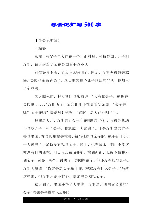 寻金记扩写500字.doc