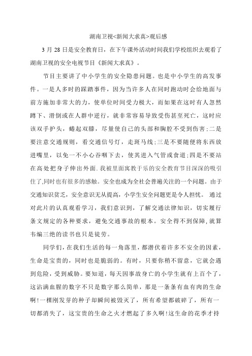 安全教育__湖南卫视新闻大求真观后感
