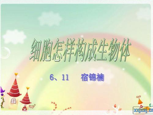 细胞怎样构成生物体
