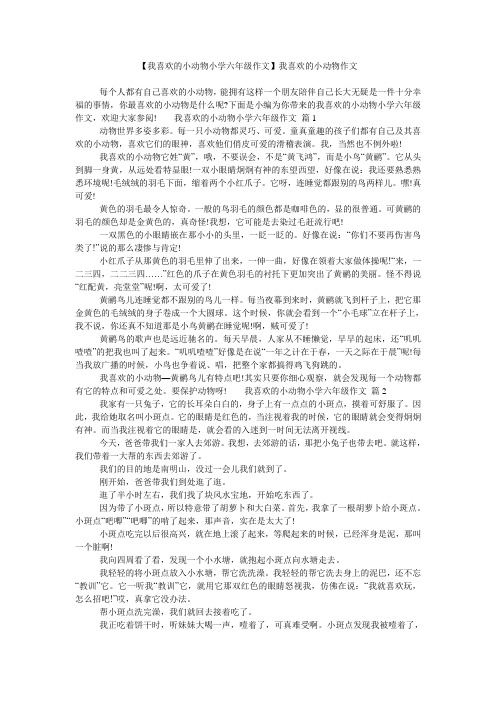 【我喜欢的小动物小学六年级作文】我喜欢的小动物作文