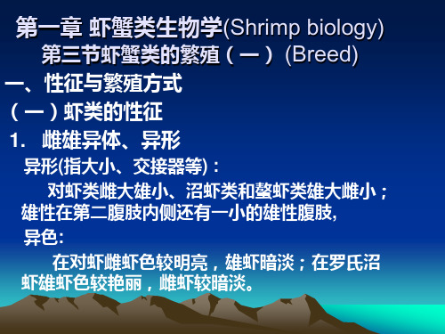 第一章 虾类生物学2