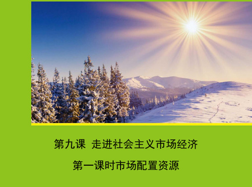 必修1经济生活【人教版】：9.1《市场配置资源》课件