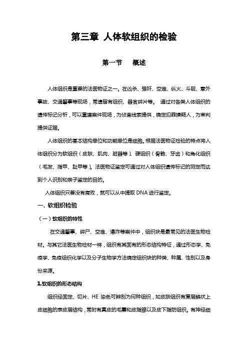 人体软组织的检验概述人体组织是重要的法医物证之一