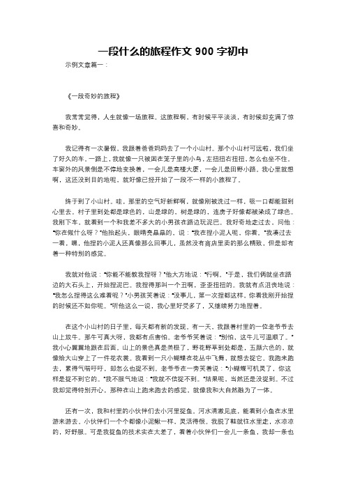 一段什么的旅程作文900字初中