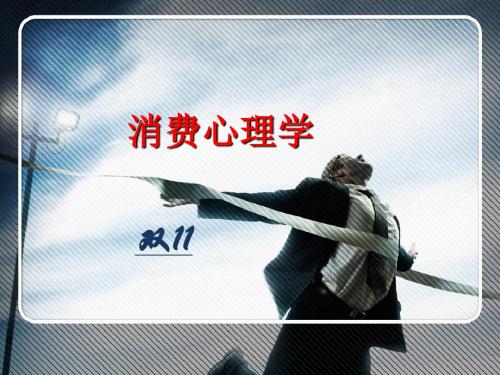 电子商务·消费心理学·双十一典型案例分析