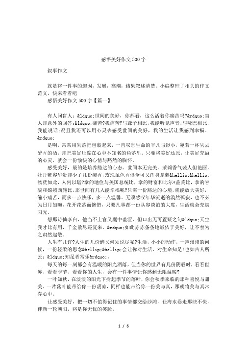 感悟美好作文500字