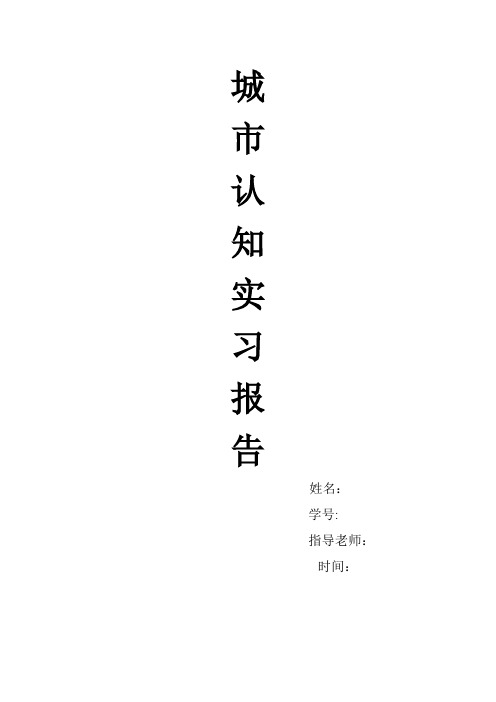 城市认知实习报告