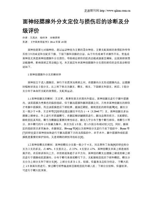 面神经腮腺外分支定位与损伤后的诊断及分级评价