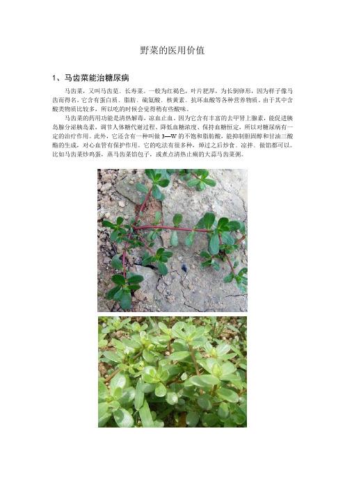 野菜的医用价值