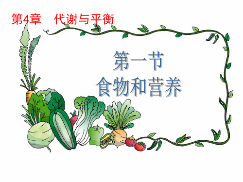 浙教版九年级科学上册第4章代谢与平衡PPT教学课件