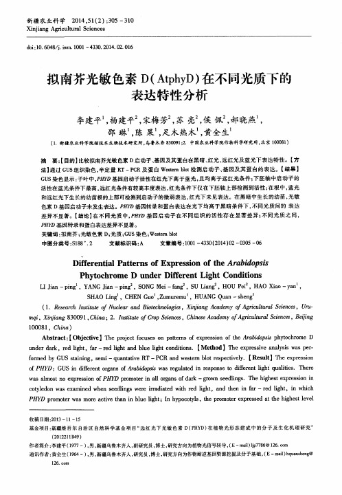拟南芥光敏色素D(AtphyD)在不同光质下的表达特性分析