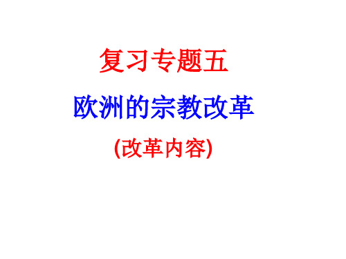 专题五宗教改革的内容及影响