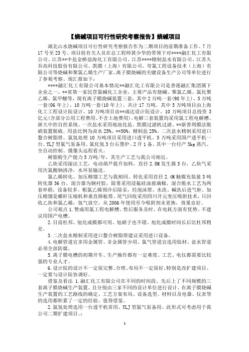 【烧碱项目可行性研究考察报告】烧碱项目