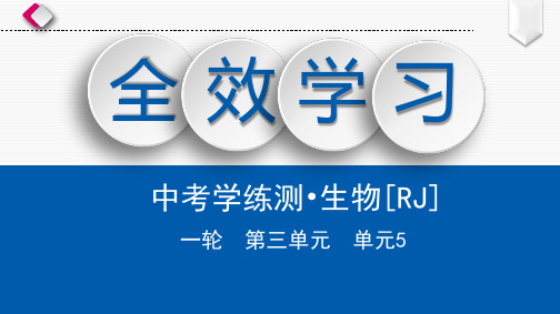 单元5 绿色植物的主要类型