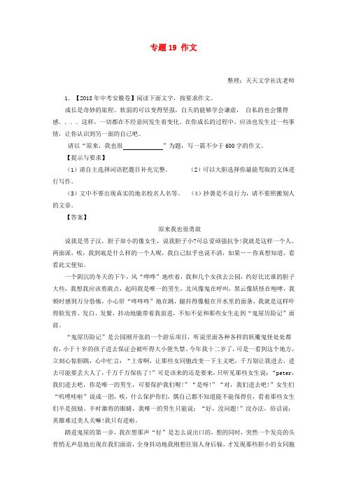 2018年中考语文试题：专题21 作文(含解析)