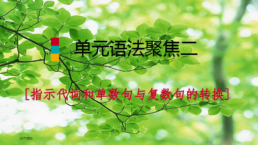 七年级英语 unit 2 this is my sister单元语法聚焦二 