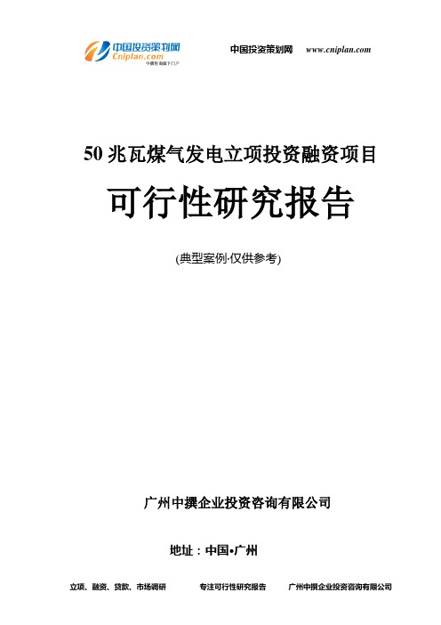 50兆瓦煤气发电融资投资立项项目可行性研究报告(中撰咨询)