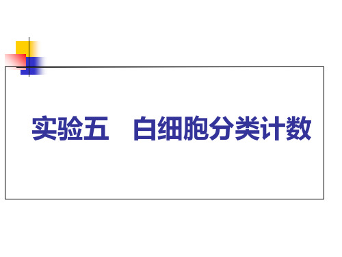 实验五-白细胞分类计数幻灯片课件