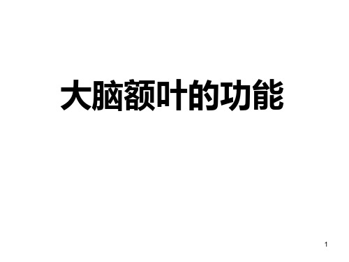大脑额叶的功能PPT参考幻灯片
