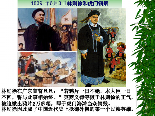药物滥用与药物依赖性ppt课件