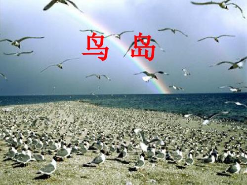 18《鸟岛》ppt课件