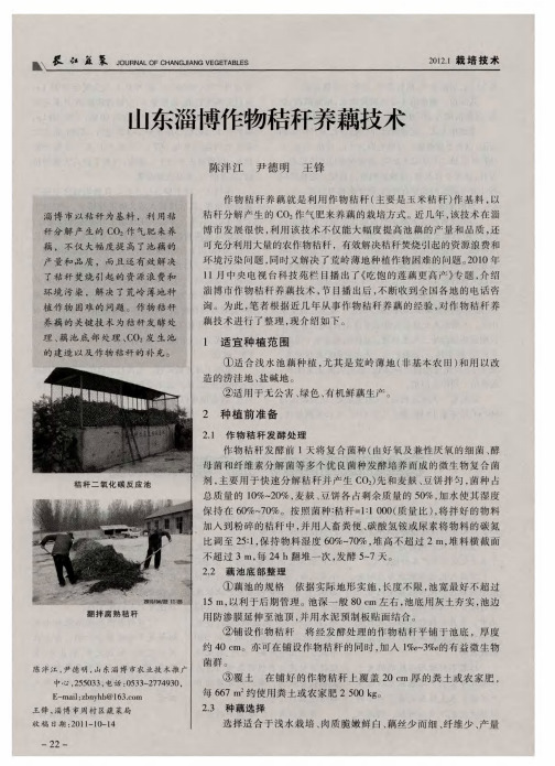 山东淄博作物秸秆养藕技术
