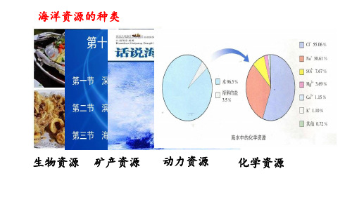 鲁教版九年级化学下册 8.1 海洋化学资源 课件(共17张PPT)