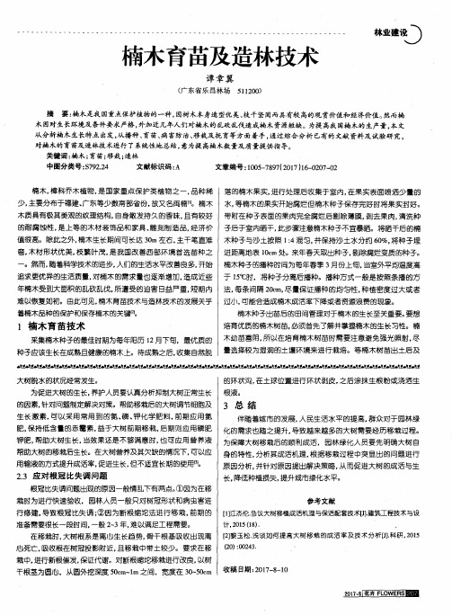 楠木育苗及造林技术